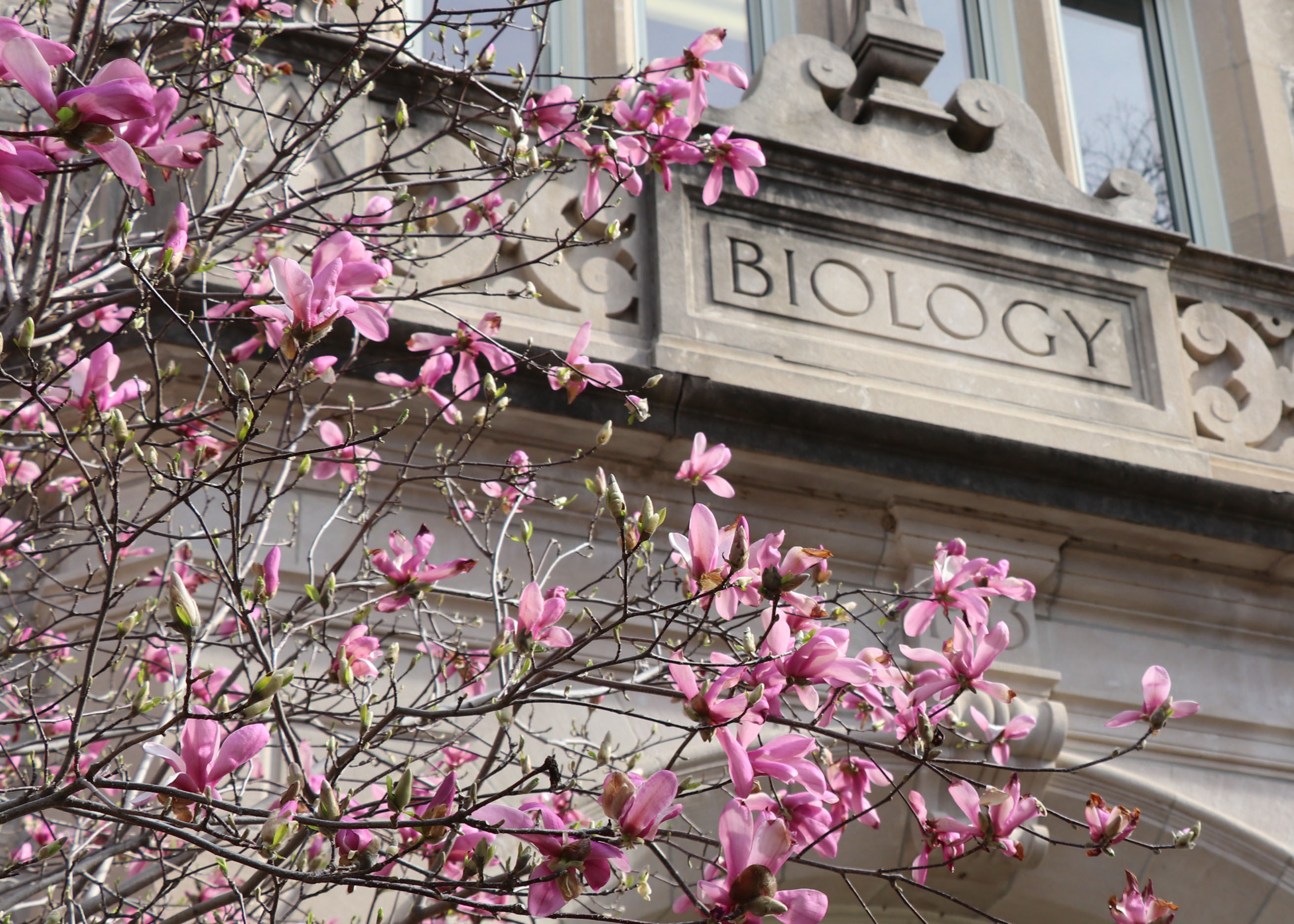 Biology Building with blooms