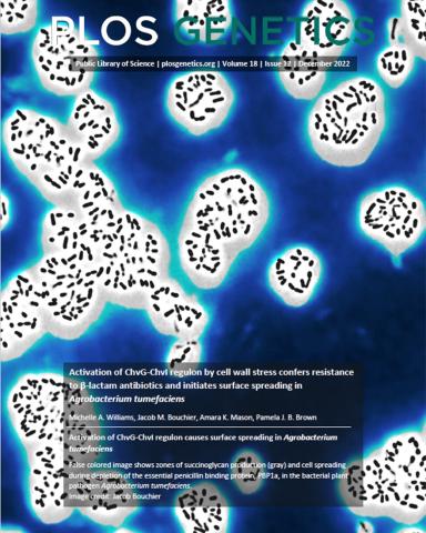 Image showing cover of PLOS Genetics issue