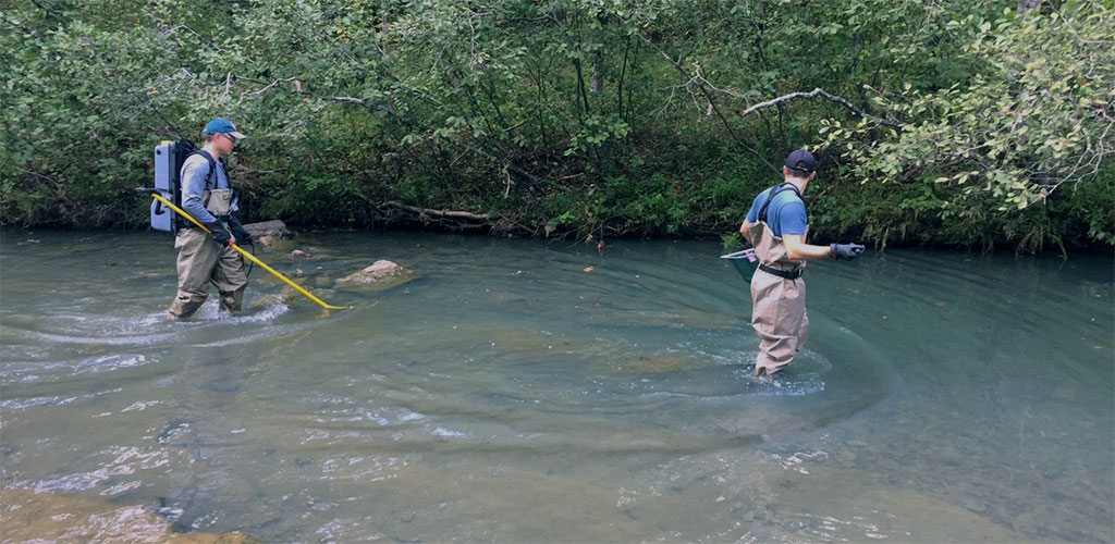 image shows two men in a creek with nets