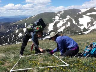 two researchers sampling in mountains