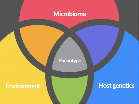 colorful Venn diagram with the words microbiome, phenotype, host genetics, and environment