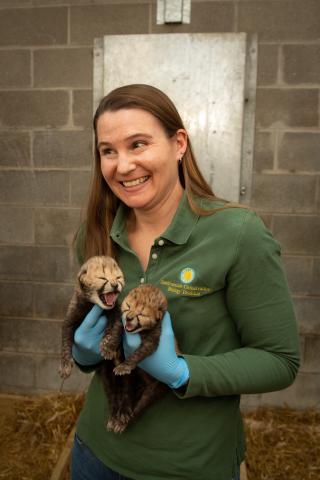 Adrienne E. Crosier with cheetah cubs