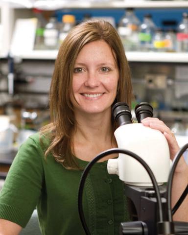 Dr. Erika Geisbrecht