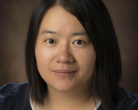 Dr. Meixia Zhao