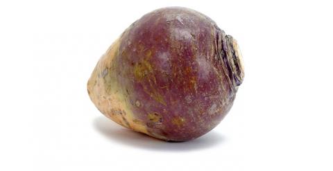 New study revises origins of the humble rutabaga