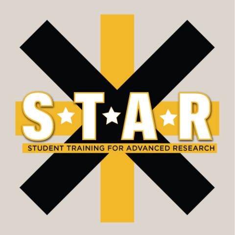 Student Training for Advancing Research