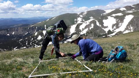 two researchers sampling in mountains