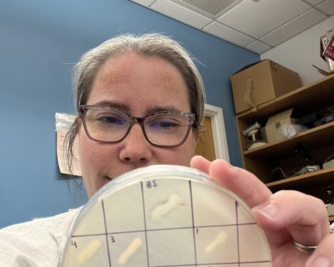 Dr. Pamela Brown looking at the results of one of her student's agar streak plate