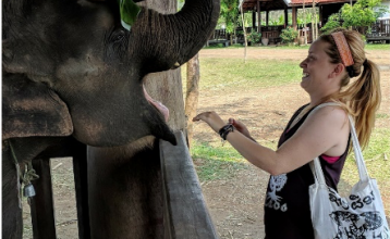 Kris Budd feeding an elephant